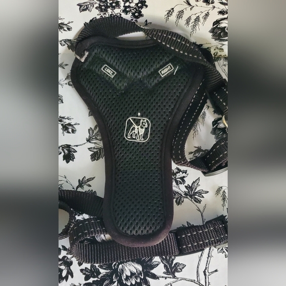 Dog Pack with small gold stained collar. - Picture 6 of 9